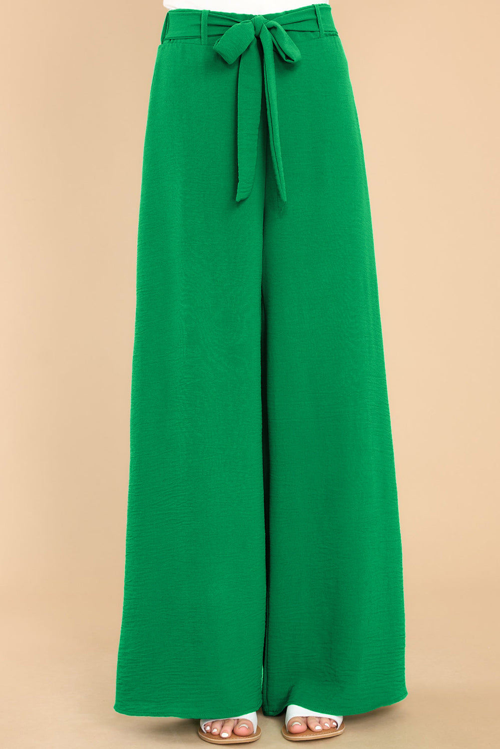 Loops Belted Wide Leg Pants - Eolante Clothing