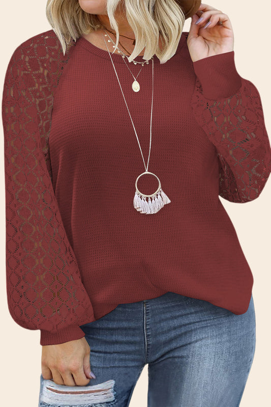 Lace Sleeve Waffle Knit Plus Size Top - Eolante Clothing